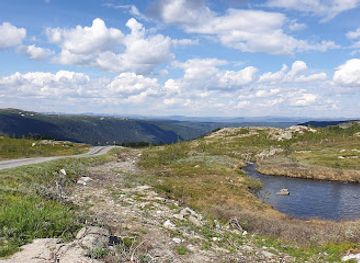 norway/buskerud/attraction/svineroi