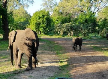 zambia/eastern-province/attraction/world-wild-life-monument