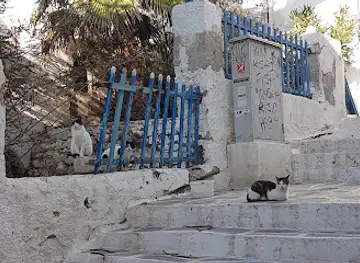 Cat Staircase