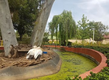 israel/rosh-hanikra/attraction/pinat-hai