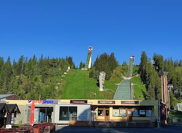 slovakia/strbske-pleso/attraction/skokansky-mostik