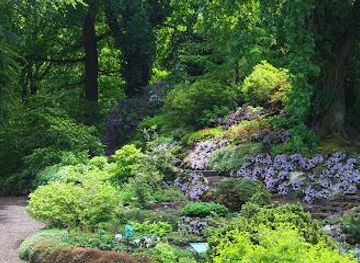 netherlands/haarlem/attraction/utrecht-botanic-gardens