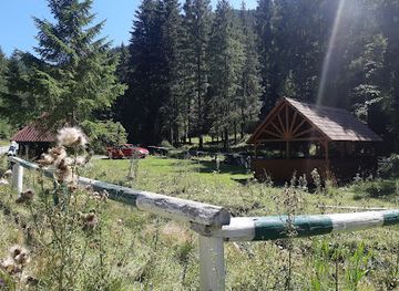 romania/bistrita-nasaud/attraction/lung-forras-borvizforras