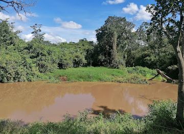 kenya/nyandarua-range/attraction/rumuruti-forest