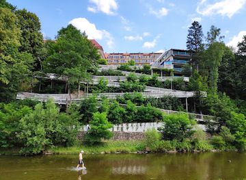 poland/silesian-beskids/attraction/zejscie-piesze-nad-wisle