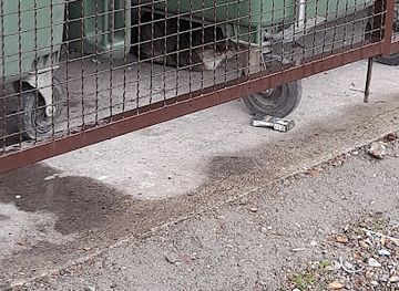 hungary/eger/attraction/egri-kukamacska