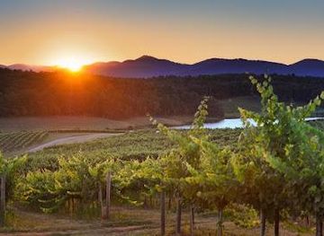 arizona/flagstaff/attraction/d-vine-detours