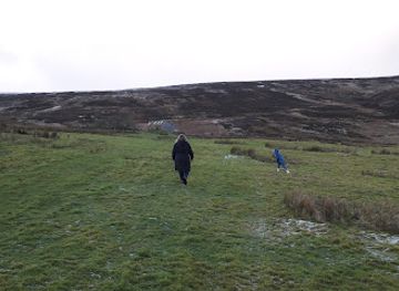 united-kingdom/orkney/attraction/rspb-scotland-cottascarth