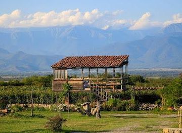 georgia/telavi/attraction/biodynamic-ge