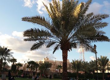 saudi-arabia/madinah/attraction/al-aswaf-garden