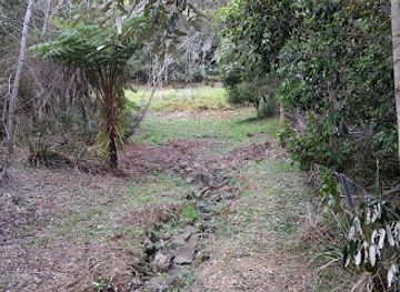 australia/sunshine-coast/attraction/ferntree-creek-national-park