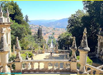 portugal/lamego/attraction/noyer-millenaire