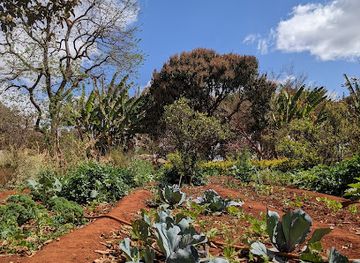 madagascar/vakinankaratra/attraction/la-ferme-d-antanandrano