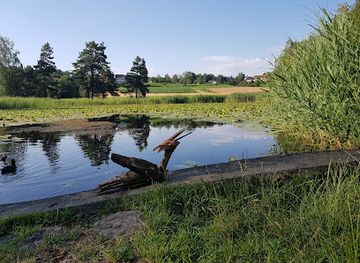 switzerland/zurich-lake/attraction/chatzentobelweiher