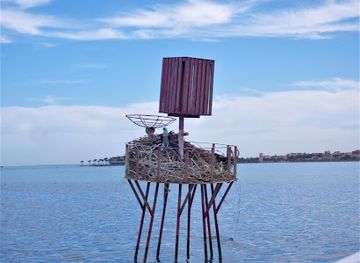 egypt/el-gouna/attraction/seeadler-horst