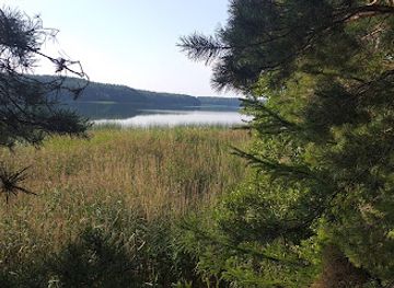 poland/masurian-lake-district/attraction/rezerwat-przyrody-jezioro-kosno