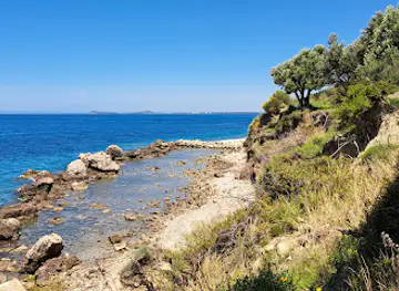 Wild beach