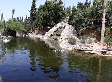 morocco/moulouya/attraction/dream-village