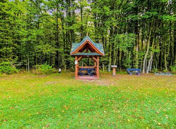 poland/białowieża-forest/attraction/carska-tropina