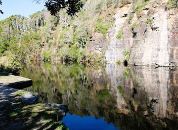 australia/northern-rivers/attraction/mara-creek-picnic-area
