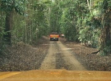 australia/port-douglas/attraction/mowbray-national-park-recovery