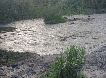 algeria/oued-righ/attraction/oued