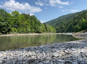 austria/bregenz/attraction/bregenzer-ach