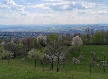 romania/maramures/attraction/the-stone-garden