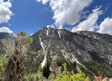 utah/snowbird/attraction/lisa-falls