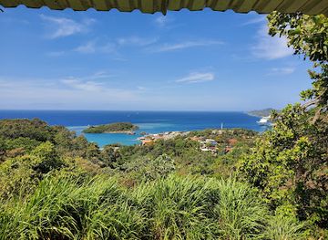 honduras/bay-islands/attraction/jungle-top-adventures-zipline
