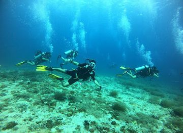 philippines/malapascua-island/attraction/sk-divers-center