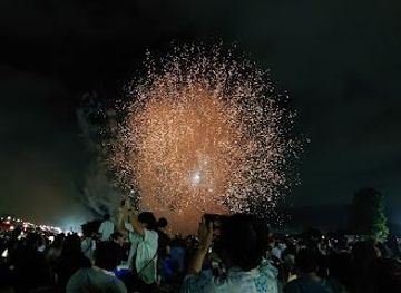 japan/tokyo/attraction/shibamata-park