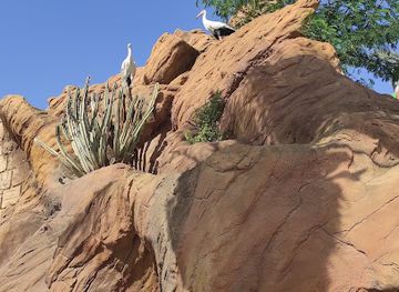 tunisia/the-dahar-mountains/attraction/medina-of-yasmine-hammamet