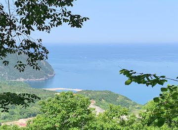 turkiye/black-sea-region/attraction/kus-kayasi-yol-aniti