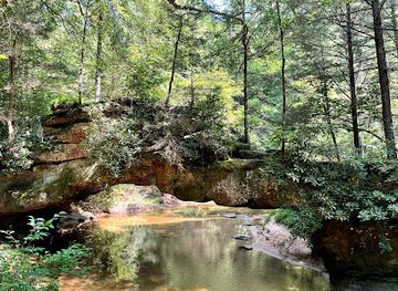 kentucky/natural-bridge-state-resort-park/attraction/rock-bridge