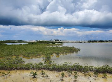 florida/key-west/attraction/the-mangrove