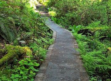 alabama/auburn/attraction/schmitz-preserve-park