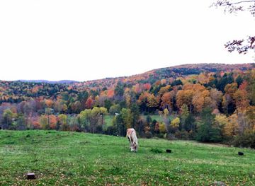 Sugarbush Farm