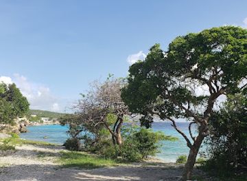 curacao/playa-manzalina/attraction/playa-largu