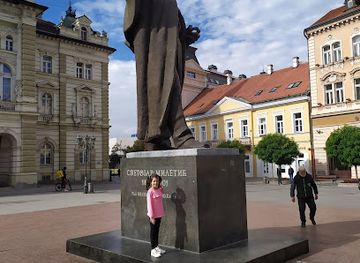 serbia/macva/attraction/monument-of-svetozar-miletic