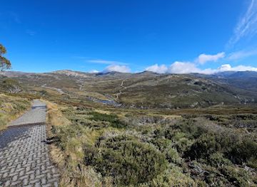 australia/kosciuszko-national-park/attraction/charlotte-pass-boardwalk-lookout