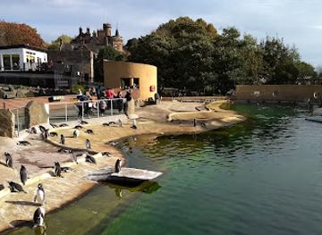 united-kingdom/edinburgh/attraction/edinburgh-zoo