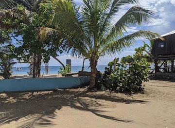 jamaica/runaway-bay/attraction/resort-divers-at-sharkies-beach