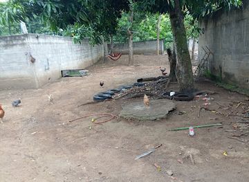 honduras/santa-barbara-region/attraction/la-ceibita