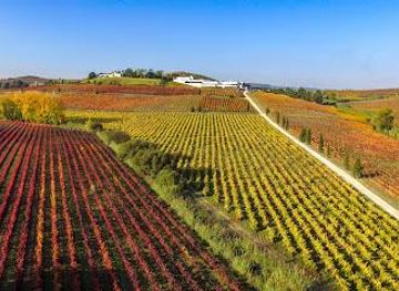 portugal/cascais/attraction/casa-santos-lima