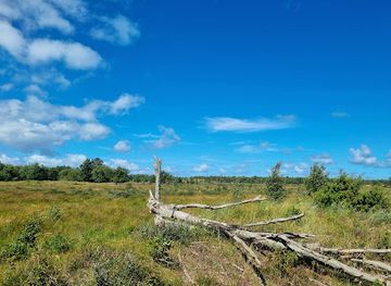 denmark/laso/attraction/ostre-foldgardso
