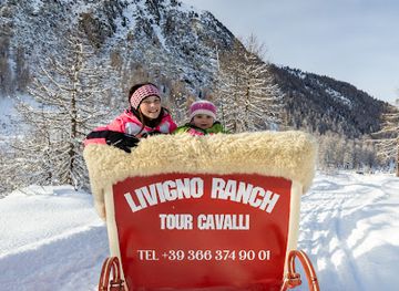 italy/livigno/attraction/livigno-ranch-tour-cavalli