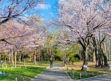 japan/sapporo/maruyama-park/attraction/maruyama-park