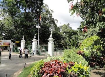 sri-lanka/nuwara-eliya/attraction/kandy