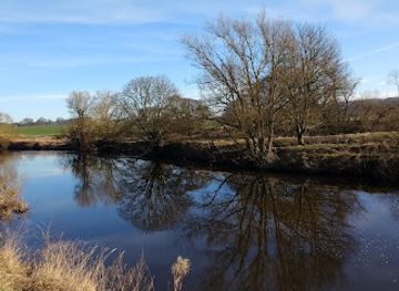 united-kingdom/durham/attraction/low-burnhall-woodland-trust